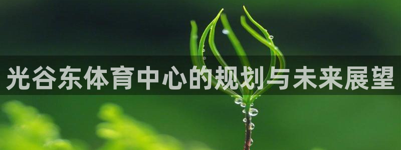 风速体育直播