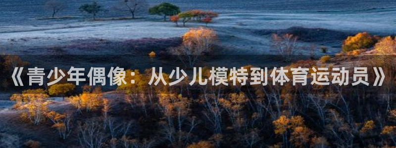 风速体育app官方下载