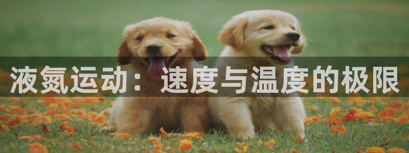 风速体育官网