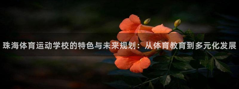 风速体育app官方下载：珠海体育运动学校的特色与未来规划：从体育教育到多元化发展