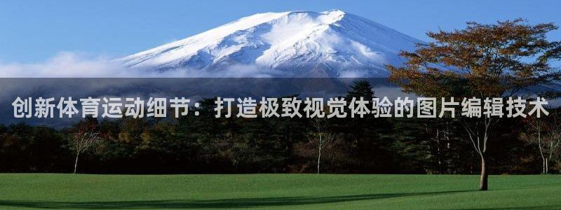 风速体育官网