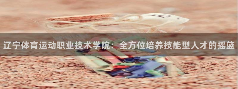 风速体育官网