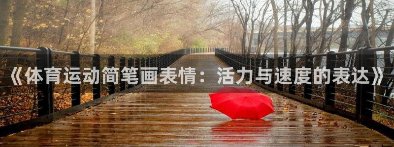 风速体育app官方下载