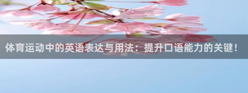 风速体育nba免费直播：体育运动中的英语表达与用法：提升口语能力的关键！