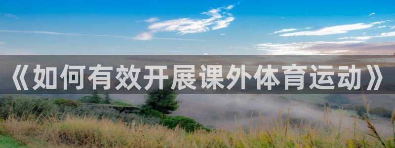 风速体育app下载官网最新版：《如何有效开展课外体育运动》
