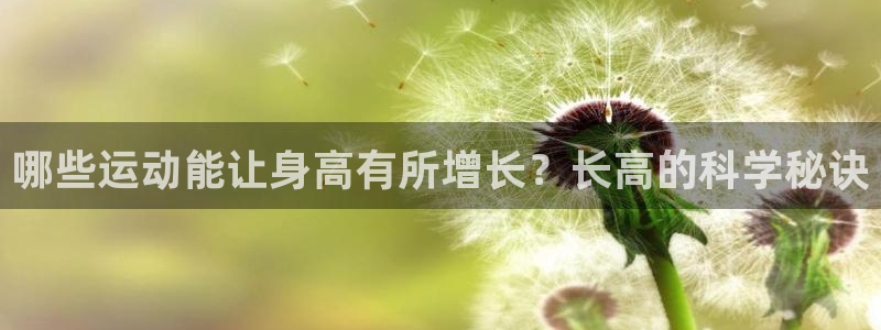 风速体育直播app