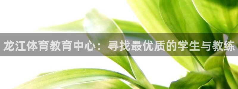 风速体育下载：龙江体育教育中心：寻找最优质的学生与教练