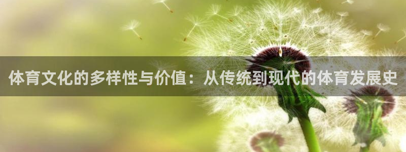 风速体育官网