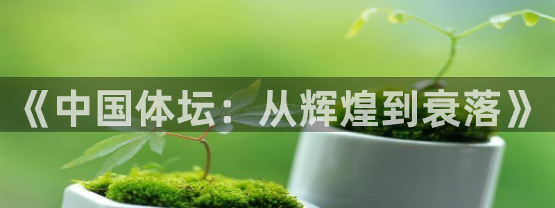 风速体育