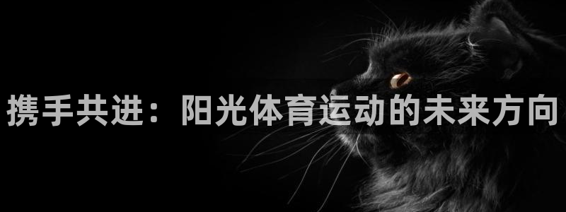 风速体育app