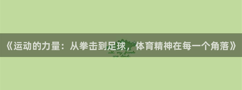 风速体育cba直播：《运动的力量：从拳击到足球，体育精神在每一个角落》